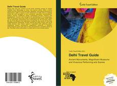 Delhi Travel Guide kitap kapağı