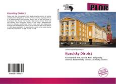 Kozulsky District kitap kapağı