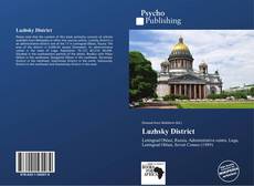 Luzhsky District kitap kapağı