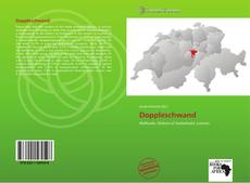 Bookcover of Doppleschwand