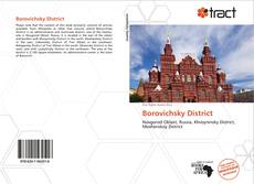 Buchcover von Borovichsky District