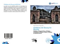 Capa do livro de Château de Souzy-la-Briche 