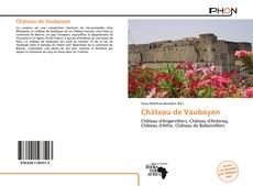 Portada del libro de Château de Vauboyen