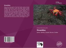 Bookcover of Homolidae