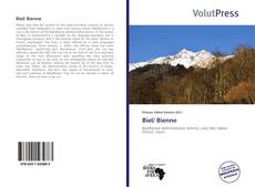 Buchcover von Biel/ Bienne