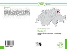 Capa do livro de Boniswil 