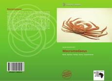 Buchcover von Macromedaeus