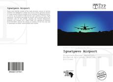 Capa do livro de Ignatyevo Airport 