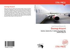 Buchcover von Dzemgi Airport