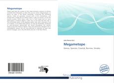 Megametope kitap kapağı