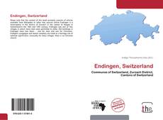Endingen, Switzerland kitap kapağı