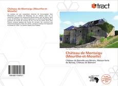 Portada del libro de Château de Montaigu (Meurthe-et-Moselle)
