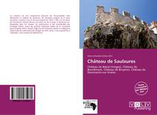 Bookcover of Château de Saulxures
