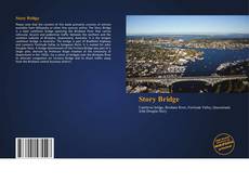 Buchcover von Story Bridge