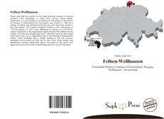 Felben-Wellhausen kitap kapağı