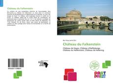 Buchcover von Château du Falkenstein