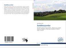 Capa do livro de Saddlescombe 