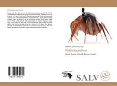 Potamocarcinus kitap kapağı