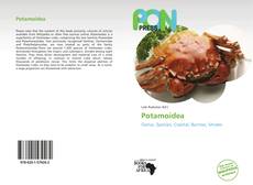 Potamoidea kitap kapağı