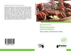 Bookcover of Potamonautes Gonocristatus