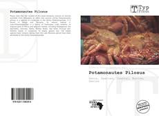 Potamonautes Pilosus kitap kapağı
