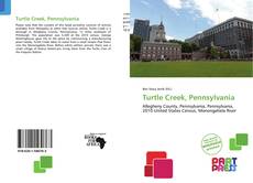 Bookcover of Turtle Creek, Pennsylvania