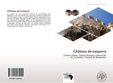 Château de Lesparre kitap kapağı