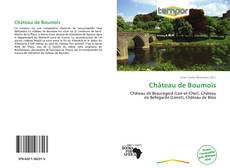 Buchcover von Château de Boumois
