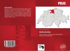Capa do livro de Hefenhofen 