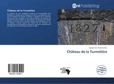 Château de la Turmelière kitap kapağı