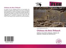 Château du Bois Thibault kitap kapağı