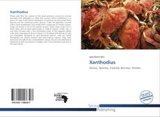 Bookcover of Xanthodius