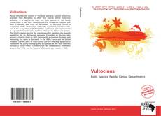 Couverture de Vultocinus