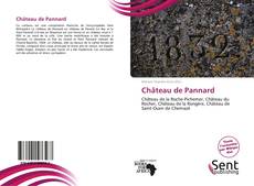 Capa do livro de Château de Pannard 