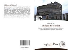 Château de Thubœuf kitap kapağı