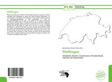 Buchcover von Pfeffingen