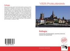 Buchcover von Pollegio