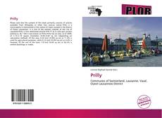 Capa do livro de Prilly 