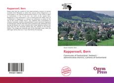 Capa do livro de Rapperswil, Bern 