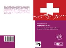 Bookcover of Kammersrohr
