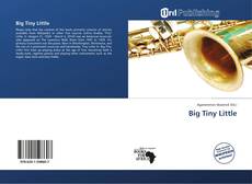 Capa do livro de Big Tiny Little 