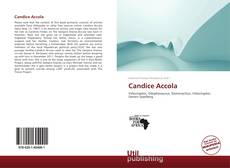 Candice Accola kitap kapağı