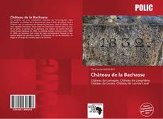 Château de la Bachasse的封面
