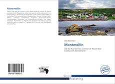 Buchcover von Montmollin