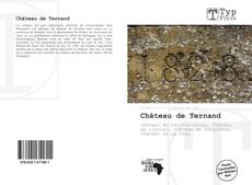 Capa do livro de Château de Ternand 