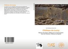 Château de Lucey的封面