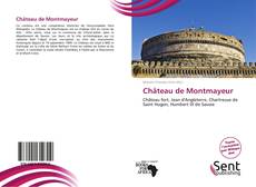 Bookcover of Château de Montmayeur