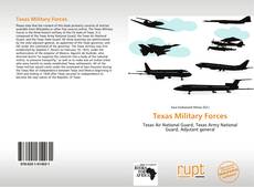 Capa do livro de Texas Military Forces 