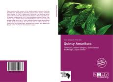 Bookcover of Quincy Amarikwa