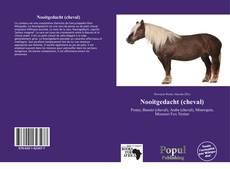 Nooitgedacht (cheval)的封面